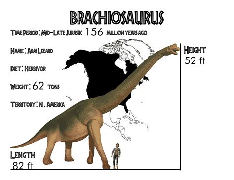 Brachiosaurus Size