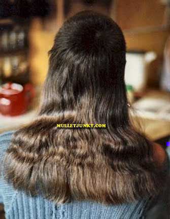 The Lesbian Mullet Literotica Discussion Board