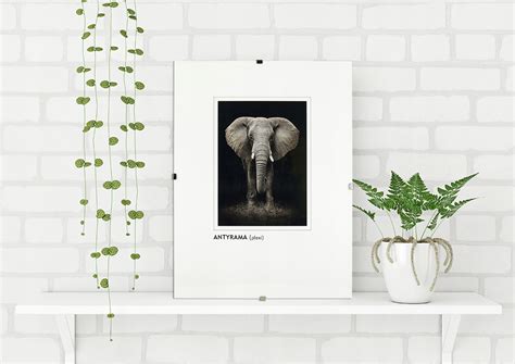 Antyrama Na Plakat X Cm Postergaleria Sklep Empik