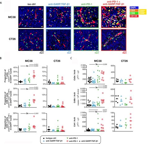 Frontiers Combined Blockade Of Garptgf β1 And Pd 1 Increases