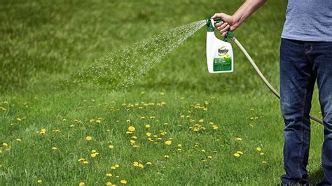 Best Weed Killer For Lawns Review Of The Top Brands