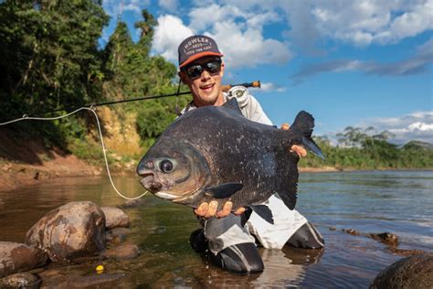 High S Johann Du Preez The Mission Fly Fishing Magazine