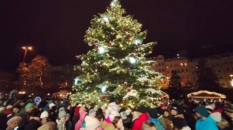 Vyberte nejhezčí vánoční strom na Karlovarsku Karlovarský deník