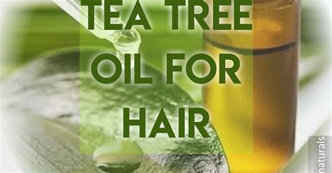 how to use tea tree oil for hair?