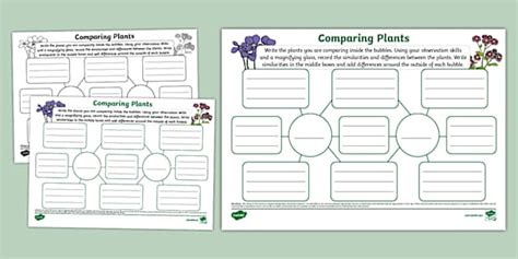 Comparing Plants Mind Map Lehrer Gemacht Twinkl