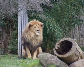 Zoo Leipzig | Sights | Leipzig