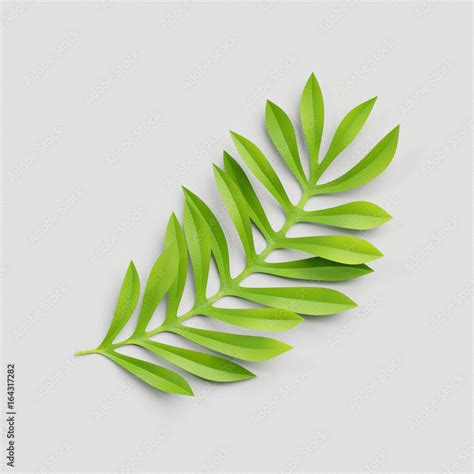 3d render, paper cut decor, green tropical leaf, isolated botanical clip art element Stock Photo ...