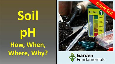 Soil Ph How To Measure And Adjust It Should You Care Youtube