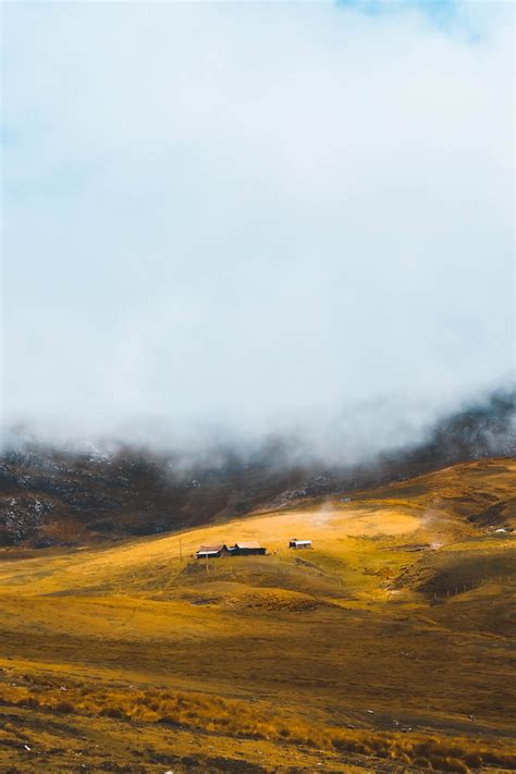 Foggy Green Landscape With Pine Forest at Daytime · Free Stock Photo