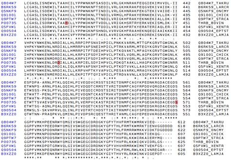 Sbi Structural Bioinformatics