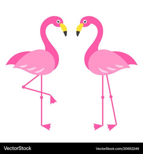 Two Pink Flamingo Birds Isolated On White Vector Image