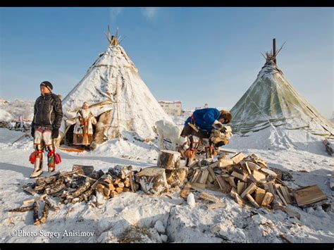 The Daily Life Of Nenets Indigenous Women In The Siberian Arctic Artofit