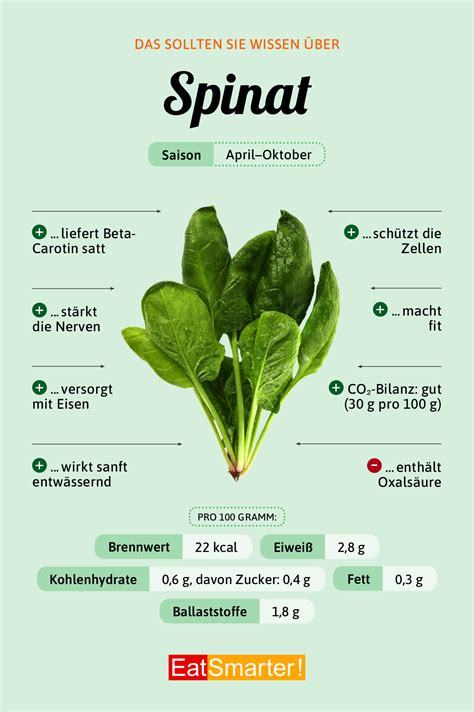 Spinat Infos N Hrwerte Kalorien Eat Smarter