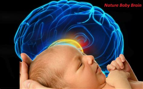 Tips To Develop Your Babys Brain