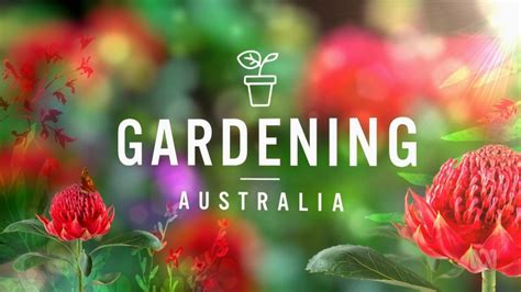 Gardening Australia Episode Hdclump