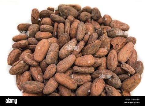 Isolated Raw Cocoa Bean On White Background Stock Photo Alamy