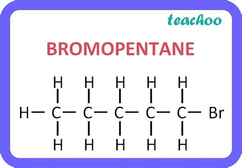 Class 10 Draw Structure Of Bromopentane Are Structural Isomers Poss