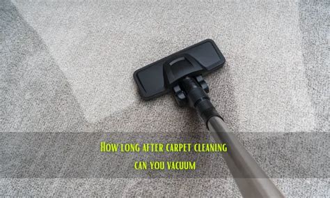 How Long After Carpet Cleaning Can You Vacuum Quick Answer House Stopper