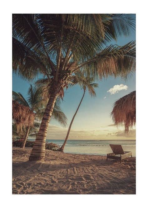 Fotografía de la playa en Belice Este póster realmente captura la