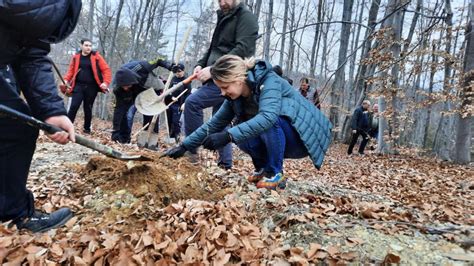 Plantare de copaci la Ocolul Silvic Târgu Jiu