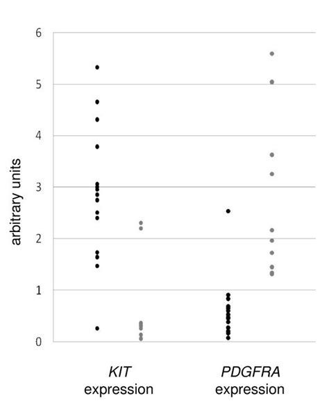 Relative Mrna Expression Of Kit Left Panel And Pdgfra Right Panel