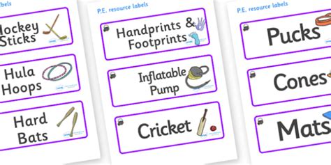 Free Magical Themed Editable Pe Resource Labels