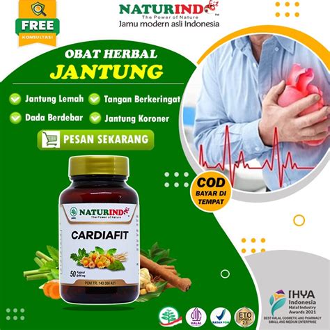 Jual Obat Sakit Jantung Herbal Nyeri Ulu Hati Dada Berdebar Stres Berat