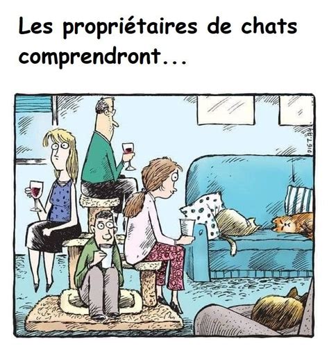 Épinglé Par Ben Sur Cats Gods Chat Humour Paroles De Chat Image Chat Drole