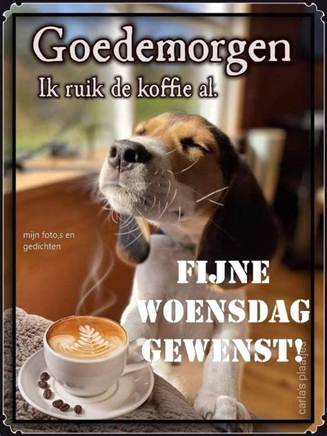 Pin Van Nettie T Hal Op Vriendjes Woensdag Goedemorgen Grappig