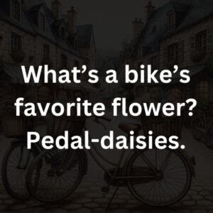 101 Bike Puns Pedal Your Way To A Wheelie Good Time Lets Learn Slang