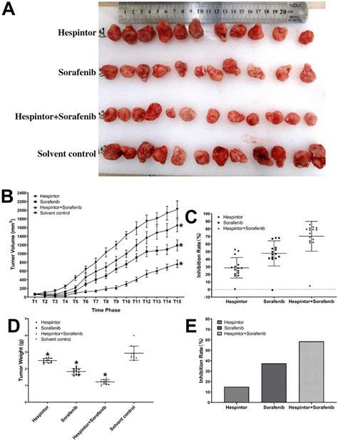 Inhibitions Of The Subcutaneous Growth Of MHCC97 H Cells In Nude Mice