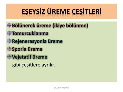 Ppt EŞeysİz Üreme Powerpoint Presentation Free Download Id 7086464