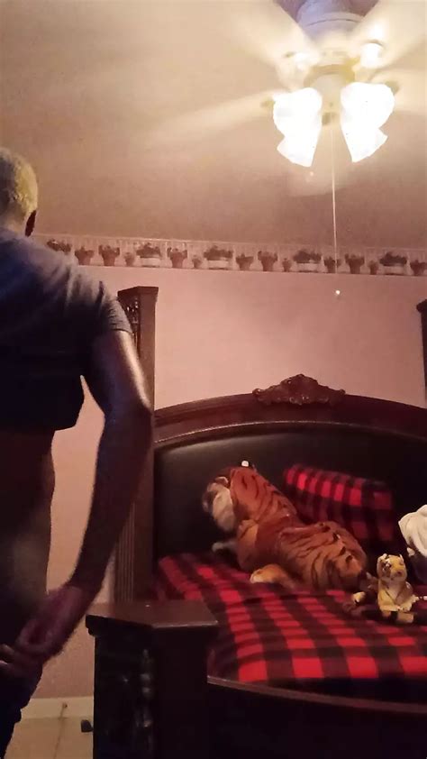 Heading Out American Gay Bondage Amateur Porn Xhamster