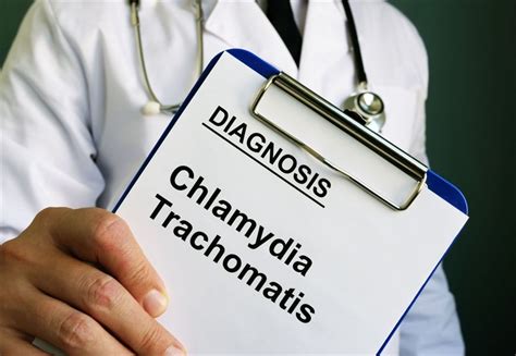 Chlamydia A Complete Guide To This Common Sti