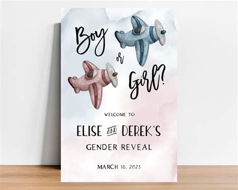 Airplane Gender Reveal Welcome Sign Vintage Airplanes Boy Or Girl