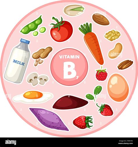 Illustration Of A Variety Of Vitamin B7 Rich Foods And Vegetables Stock