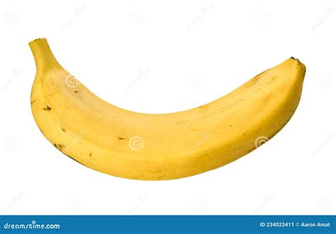 Single Banana Isolated On A White Background Stock Image Image Of