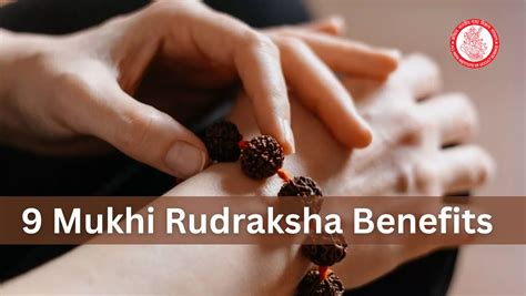 9 Mukhi Rudraksha Benefits How To Wear 9 Mukhi Rudraksha