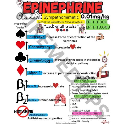 Printable Paramedic Drug Card Pdf File Pharmacology For Paramedic