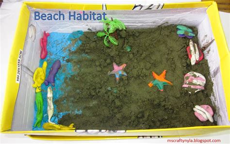 Nylas Crafty Teaching Classroom Project Making Shoebox Habitats