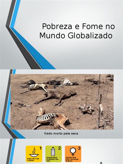 A Pobreza É Um Fenômeno Global - Pobreza e Fome na Globalização | PDF | Política | Tecnologia e Engenharia