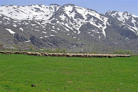 A Beautiful Landscape View Of The The Snow Topped Taurus Mountains In ...