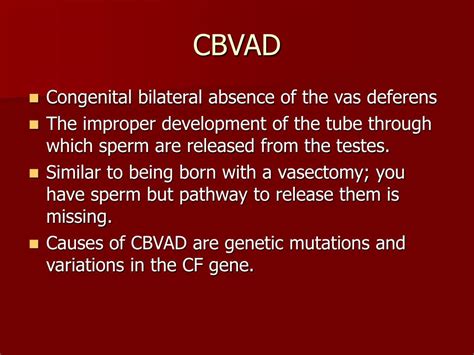 Ppt Cystic Fibrosis Infertility In Men And Women Powerpoint Presentation Id331425