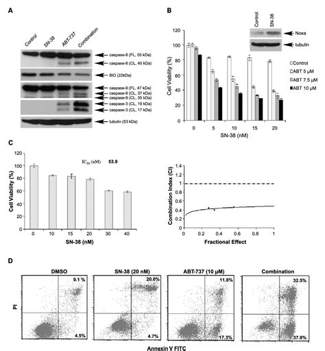 Figure From Induction Of Noxa Sensitizes Human Colorectal Cancer