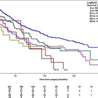 Kaplan Meier Curves Depicting Overall Survival Analysis Of Solitary HCC