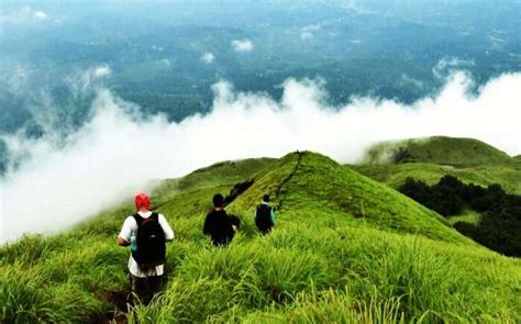 Monsoon In Wayanad 2022 A Guide For Getting Closer To Nature Like