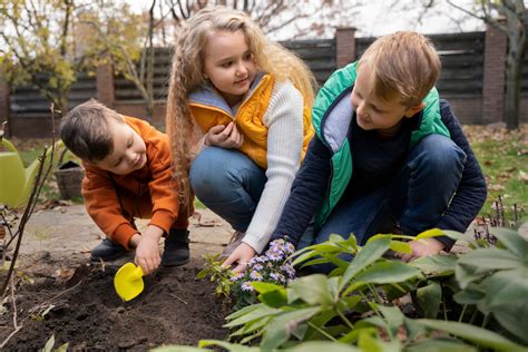 Jardinería para niños sembrar y cuidar plantas