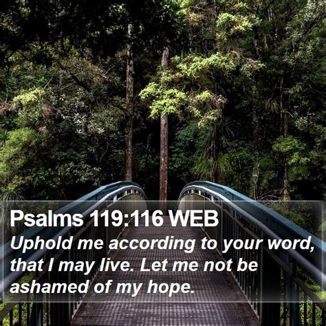 Psalms 119116 Web Scriptures Images