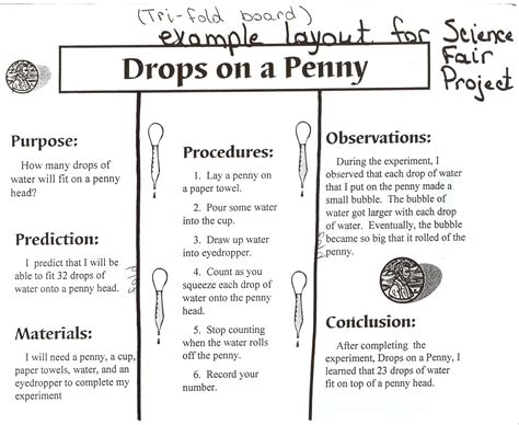 Stacy Pitts: Example Project Board for Science Fair