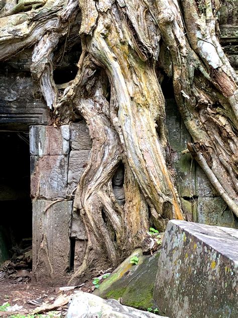 Angkor Wat hidden face watching visitors. | Scrolller